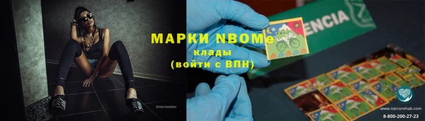 молекула духа Козельск
