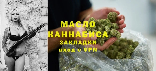 молекула духа Козельск