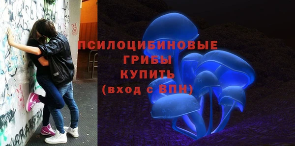 ALPHA PVP Киреевск